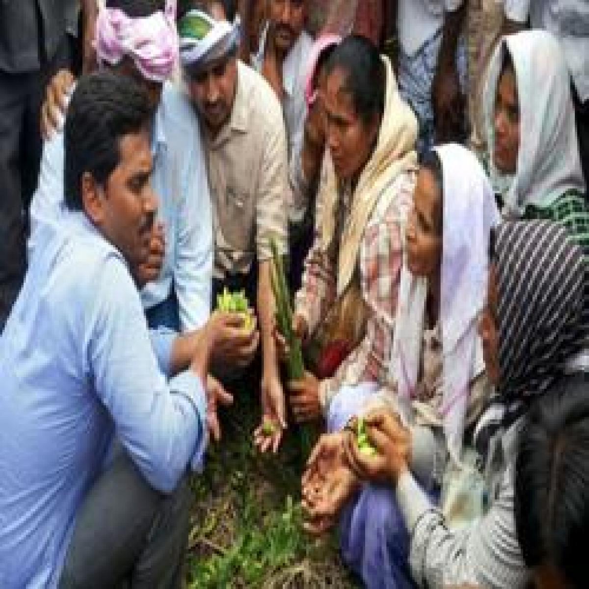 YS Jagan meets flood victims in Kadapa